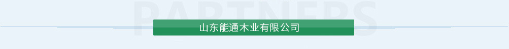 內(nèi)蒙古恒光大藥業(yè)股份有限公司