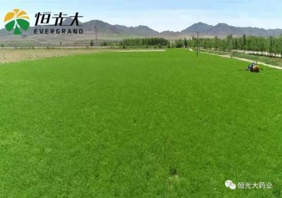不忘初心，砥礪前行，我們一直在路上！